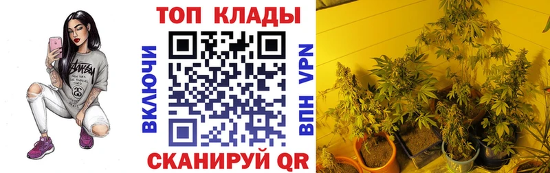 Магазины продажи наркотиков Малаховка Амфетамин  Кокаин  A PVP  Мефедрон  ГАШИШ  Бошки Шишки 