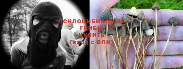 мяу мяу мука Гусев
