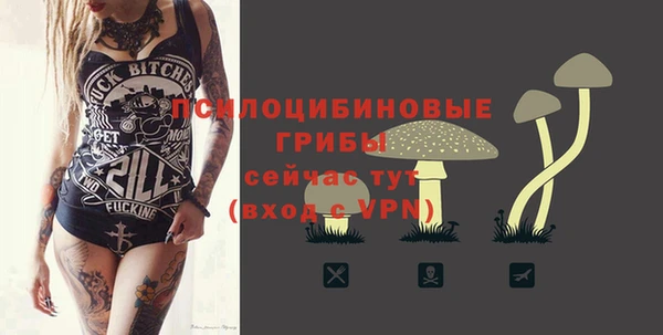 первитин Гусь-Хрустальный