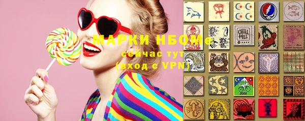крисы Дмитров