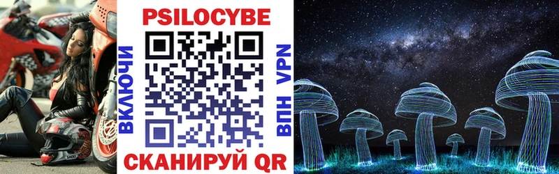 Галлюциногенные грибы Psilocybe  Малаховка 